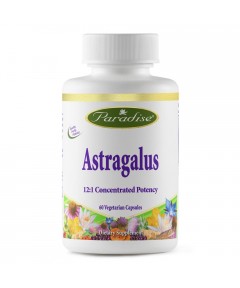 Astragalus herbal extract