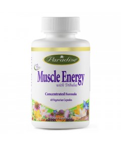 Muscle Energy