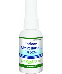 Indoor Air Pollution Detox